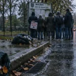 Invasion de rats dans le quartier de Maurepas : les habitants se mobilisent